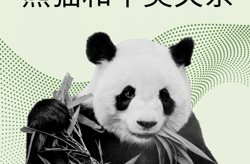  熊猫和中美关系